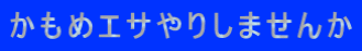 かもめエサやりしませんか