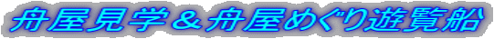 舟屋見学＆舟屋めぐり遊覧船