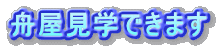 舟屋見学できます
